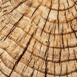 Indoor/Outdoor Faux Concrete Stump Accent Table Brown - Threshold™ Designed With Studio McGee 9 Indoor/Outdoor Faux Concrete Stump Accent Table Brown - Threshold™ Designed With Studio McGee -Threshold GUEST 03deabfd 2b62 4725 94b4 09a321ea8678