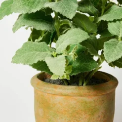 Artificial Potted Mint Leaf - Threshold™ Designed With Studio McGee -Threshold GUEST 19a08200 78b7 461e bcd9 c962450d4305