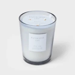 Colored Vase Glass With Dustcover Rainwater Lily Candle Gray - Threshold™ 11 Colored Vase Glass With Dustcover Rainwater Lily Candle Gray - Threshold™ -Threshold GUEST 1a738ead 7e7a 4f46 b4ff 79439b3488d0