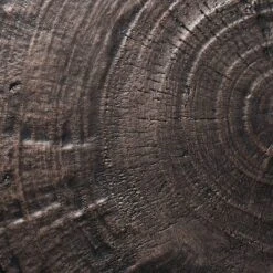 Grantsville Drum Accent Table Black - Threshold™ Designed With Studio McGee -Threshold GUEST 2a48e59f 9a1e 4d95 a641 6710dbd36ebe