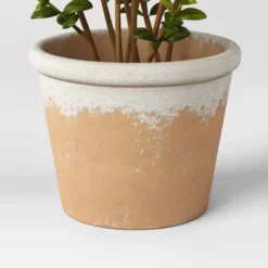 Artificial Medium Boxwood In Terracotta Pot Green - Threshold™ Designed With Studio McGee -Threshold GUEST 3859bebc ef74 4067 b0a8 d2730a37750b