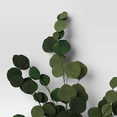 Preserved Eucalyptus Bundle - Threshold™ 2 Preserved Eucalyptus Bundle - Threshold™ - Image 2