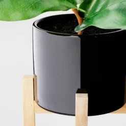 8" Fiddle Leaf Arrangement - Threshold™ -Threshold GUEST 78c53f99 a082 4f19 9aec 00c0f2462c6f