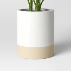 Large Variegated Plant - Threshold™ 5 Large Variegated Plant - Threshold™ -Threshold GUEST 7d5c4722 8e80 4f51 9089 0f72358617e5