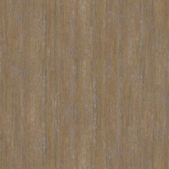 Catonsville Barrel Chair - Threshold™ 10 Catonsville Barrel Chair - Threshold™ -Threshold GUEST 9597a6cf 0ff5 42a1 9afe fd0d08737843