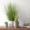25" X 15" Artificial Onion Grass Arrangement In Ceramic Pot - Threshold™