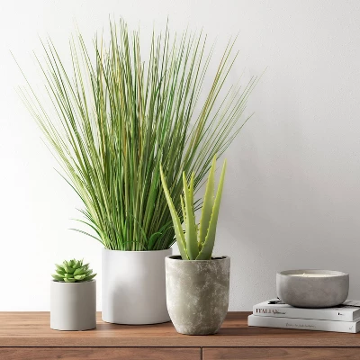25" X 15" Artificial Onion Grass Arrangement In Ceramic Pot - Threshold™ 1 25" X 15" Artificial Onion Grass Arrangement In Ceramic Pot - Threshold™