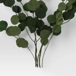 Preserved Eucalyptus Bundle - Threshold™ 5 Preserved Eucalyptus Bundle - Threshold™ -Threshold GUEST c7dd4b87 faec 4ba4 94c4 c0953dd894d7