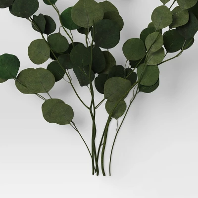 Preserved Eucalyptus Bundle - Threshold™ 3 Preserved Eucalyptus Bundle - Threshold™ - Image 3