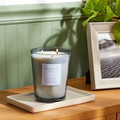Colored Vase Glass With Dustcover Rainwater Lily Candle Gray - Threshold™ 1 Colored Vase Glass With Dustcover Rainwater Lily Candle Gray - Threshold™