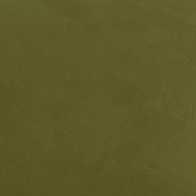 Orion Luxe Dining Chair With Brass Legs Olive Green Velvet - Threshold™ 5 Orion Luxe Dining Chair With Brass Legs Olive Green Velvet - Threshold™ - Image 5