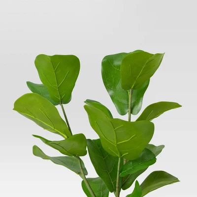Large Fiddle Leaf Potted - Threshold™ 2 Large Fiddle Leaf Potted - Threshold™ - Image 2